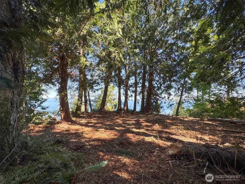 Property photo for 9999 W Bachelor Rock Drive, Port Angeles photo 13