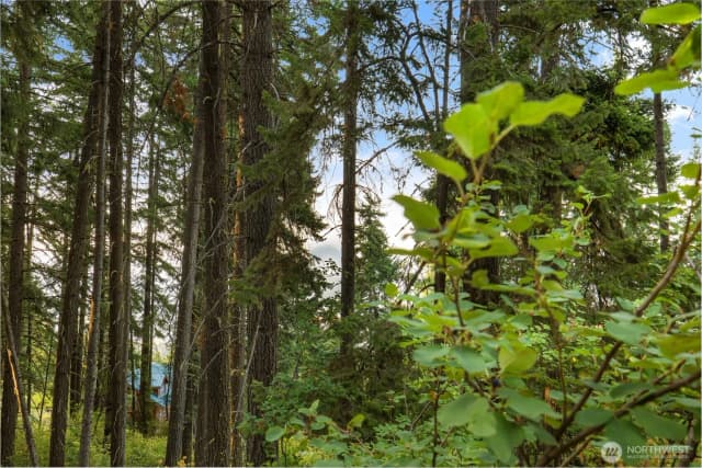 Property photo for 76 Lot Horse Haven Road, Cle Elum photo 4
