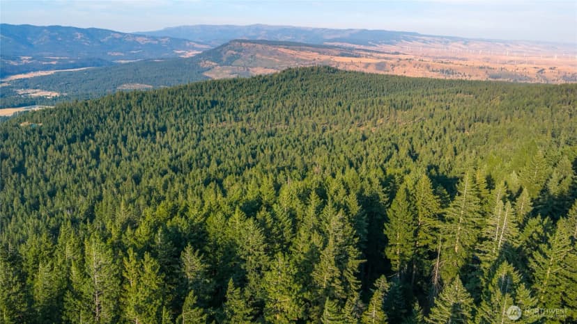 Property photo for 76 Lot Horse Haven Road, Cle Elum photo 15