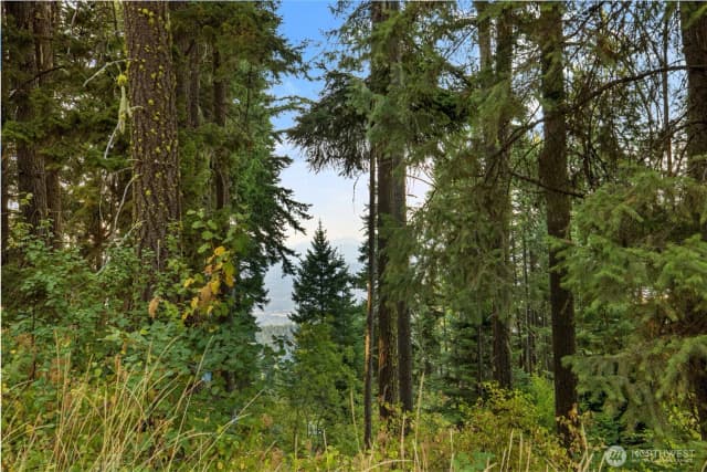 Property photo for 76 Lot Horse Haven Road, Cle Elum photo 2