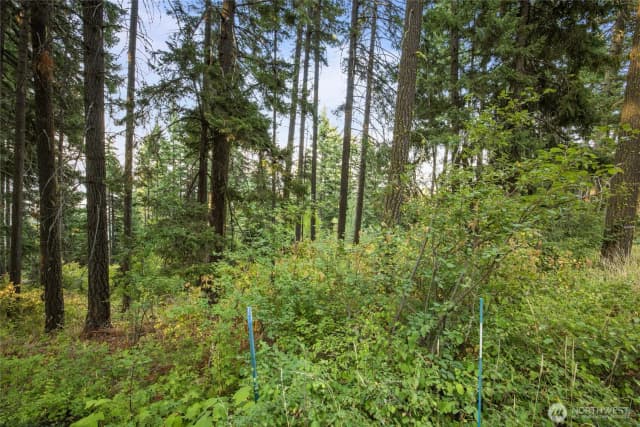 Property photo for 76 Lot Horse Haven Road, Cle Elum photo 3
