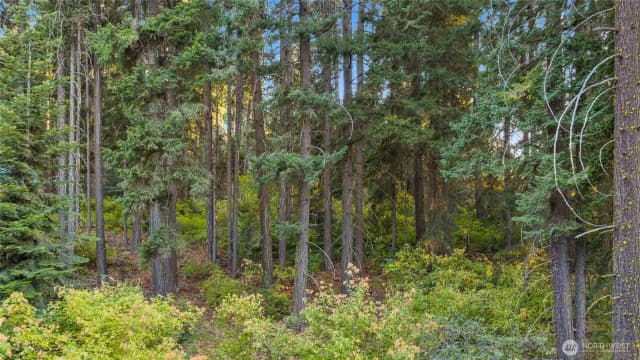 Property photo for 76 Lot Horse Haven Road, Cle Elum photo 5