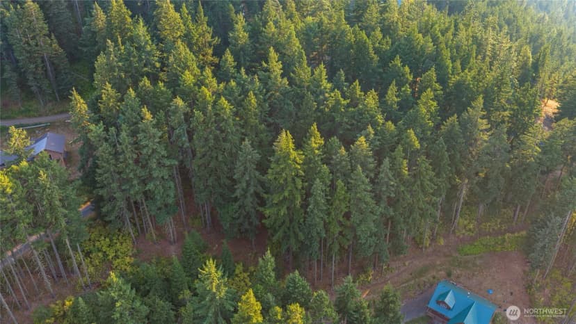 Property photo for 76 Lot Horse Haven Road, Cle Elum photo 11
