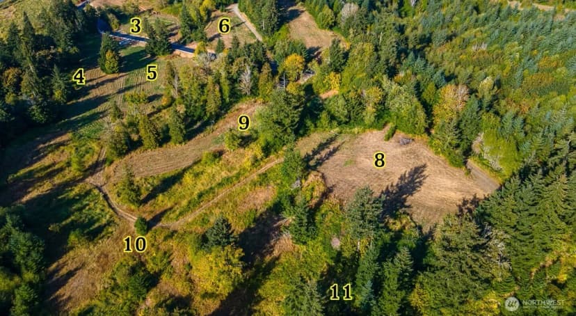 Property photo for 1824 Salzer Creek Drive, Centralia photo 9