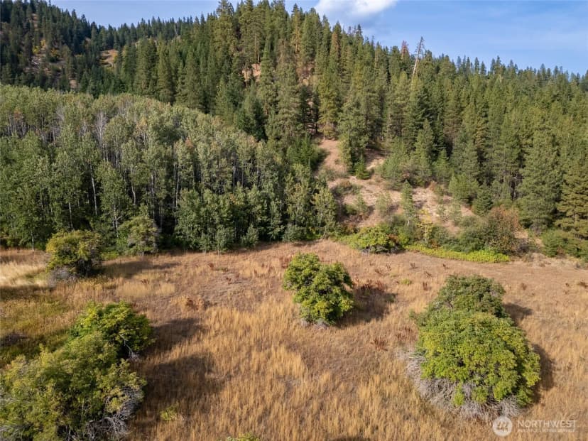 Property photo for 0 Nna Chumstick Hwy, Leavenworth photo 22