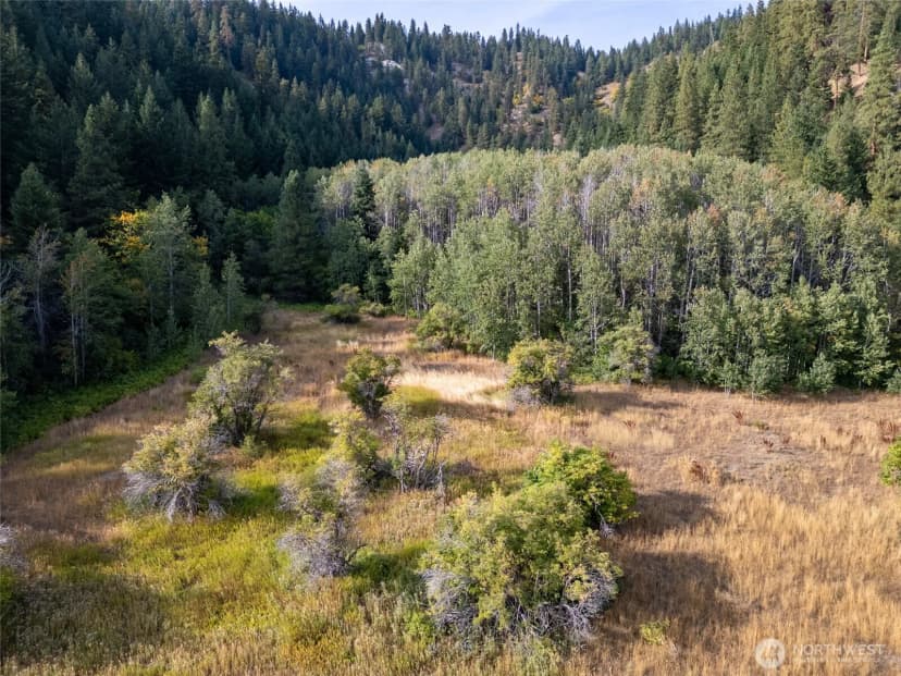 Property photo for 0 Nna Chumstick Hwy, Leavenworth photo 10