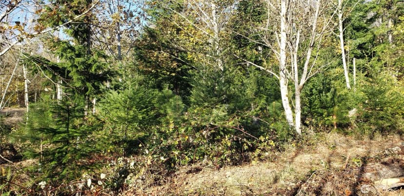Property photo for 365 Xx Cumberland Ridge Road Se, Enumclaw photo 22