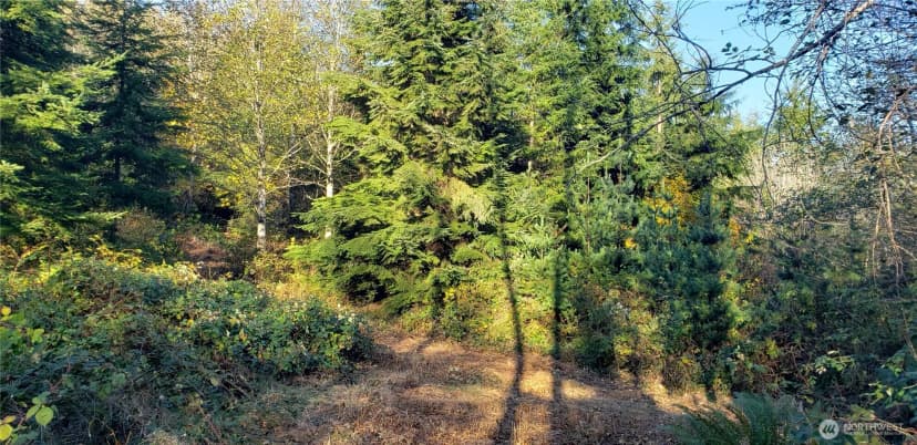 Property photo for 365 Xx Cumberland Ridge Road Se, Enumclaw photo 29