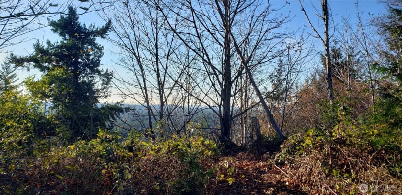 Property photo for 365 Xx Cumberland Ridge Road Se, Enumclaw photo 33
