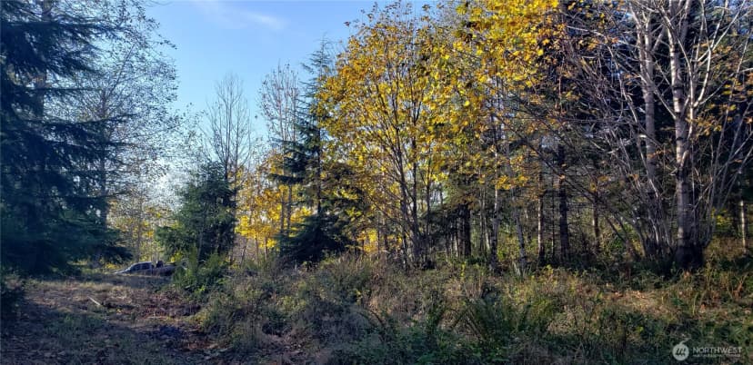 Property photo for 365 Xx Cumberland Ridge Road Se, Enumclaw photo 28