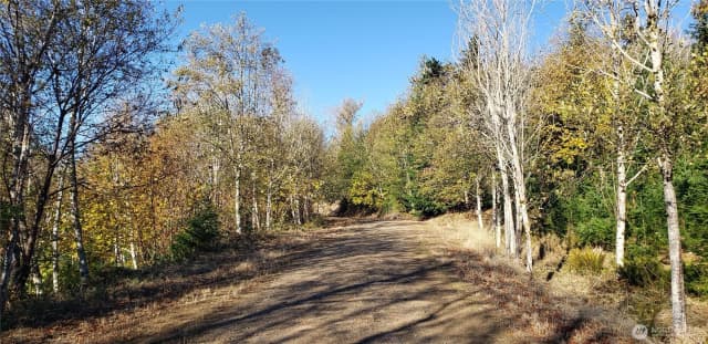 Property photo for 365 Xx Cumberland Ridge Road Se, Enumclaw photo 5