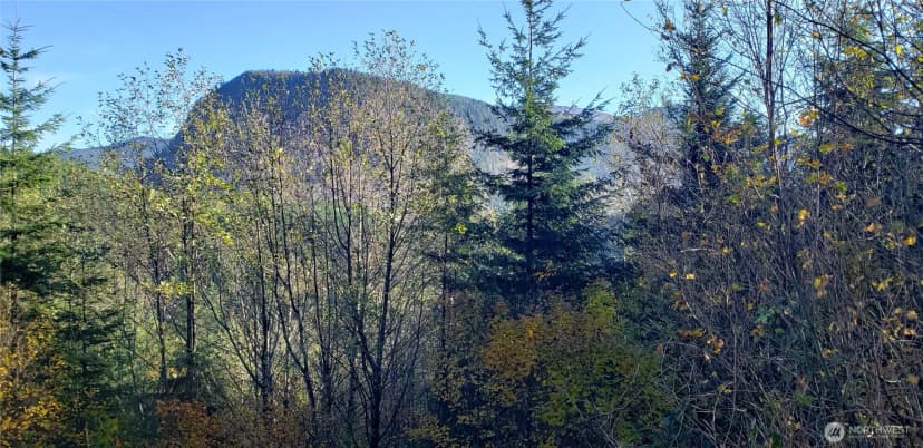 Property photo for 365 Xx Cumberland Ridge Road Se, Enumclaw photo 20