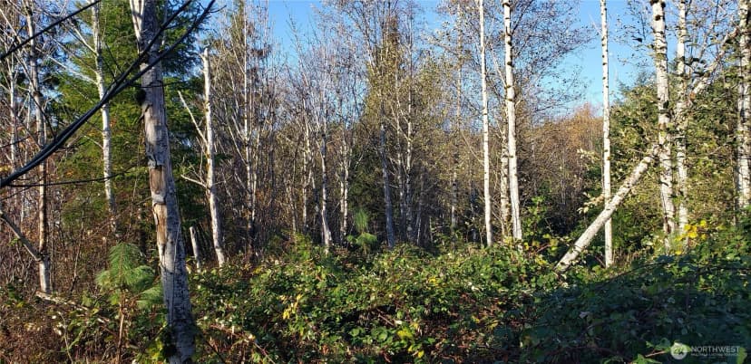 Property photo for 365 Xx Cumberland Ridge Road Se, Enumclaw photo 32