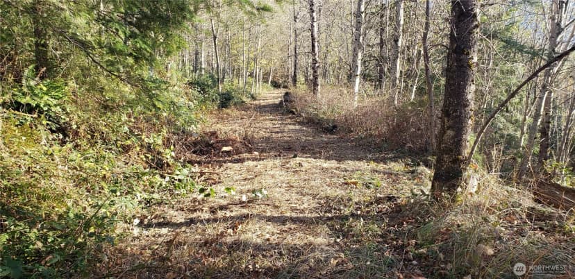 Property photo for 365 Xx Cumberland Ridge Road Se, Enumclaw photo 17