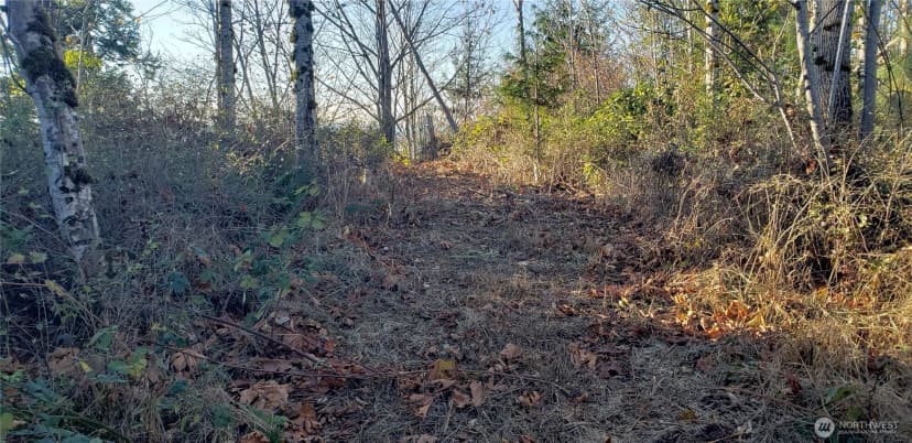 Property photo for 365 Xx Cumberland Ridge Road Se, Enumclaw photo 31