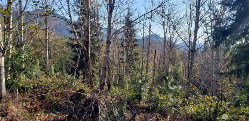 Property photo for 365 Xx Cumberland Ridge Road Se, Enumclaw photo 18
