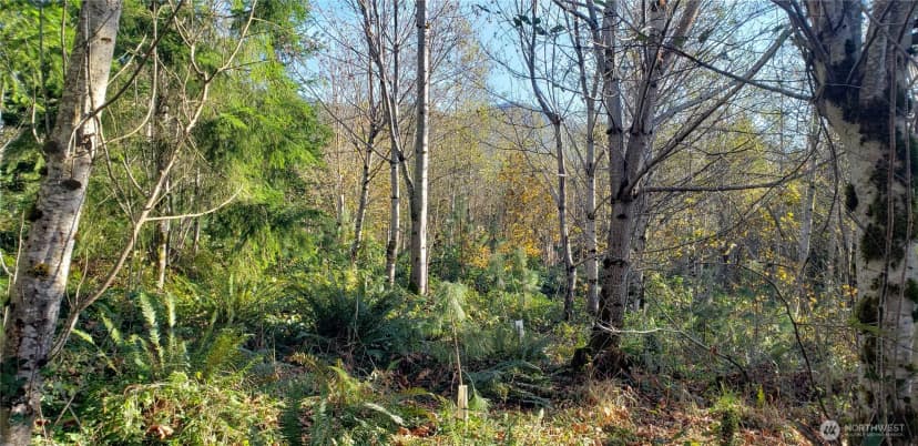 Property photo for 365 Xx Cumberland Ridge Road Se, Enumclaw photo 14