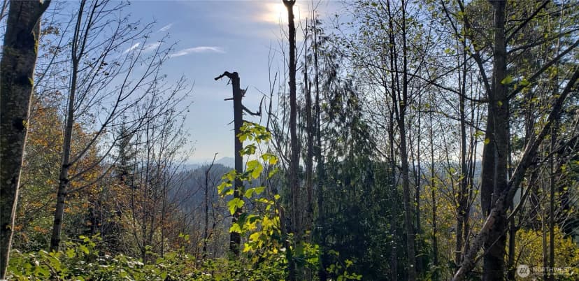 Property photo for 365 Xx Cumberland Ridge Road Se, Enumclaw photo 9