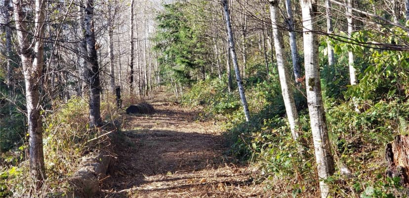 Property photo for 365 Xx Cumberland Ridge Road Se, Enumclaw photo 15