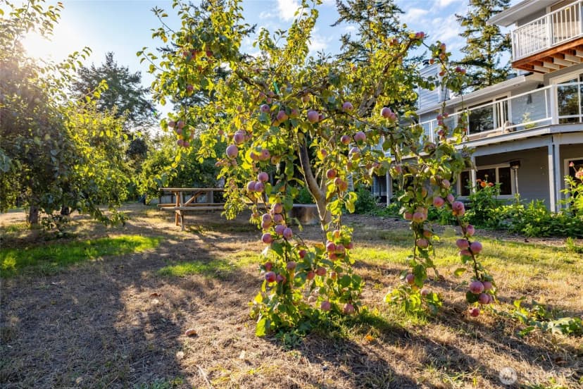 Property photo for 1407 Arnold Road, Oak Harbor photo 40