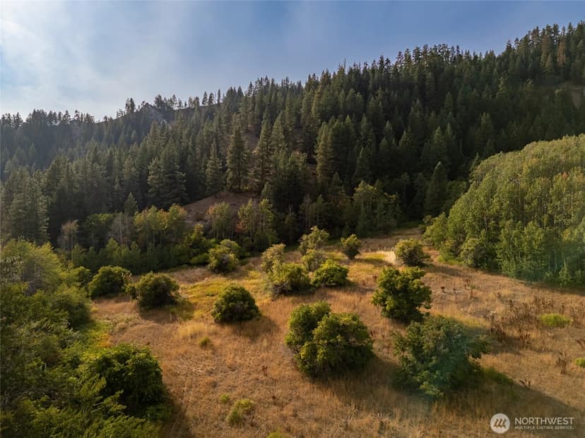 Property photo for 0 Chumstick Hwy, Leavenworth photo 9