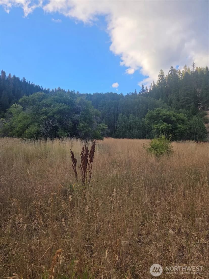 Property photo for 0 Chumstick Hwy, Leavenworth photo 32