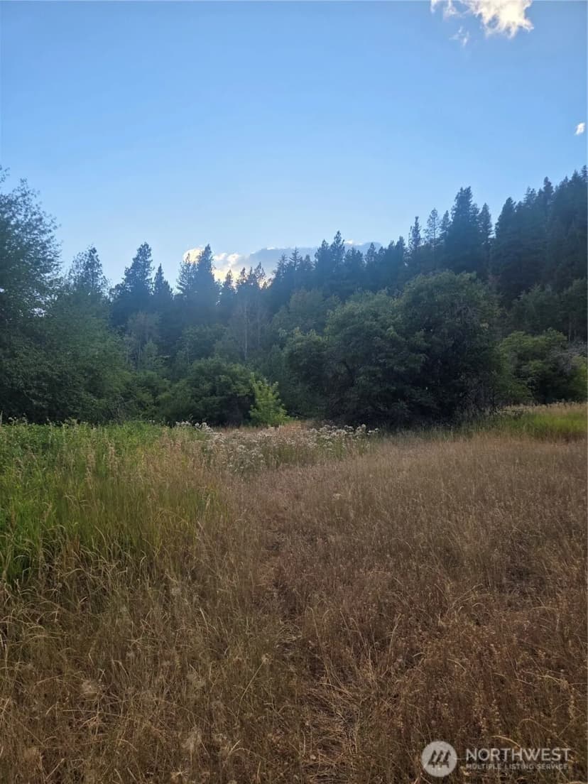 Property photo for 0 Chumstick Hwy, Leavenworth photo 30