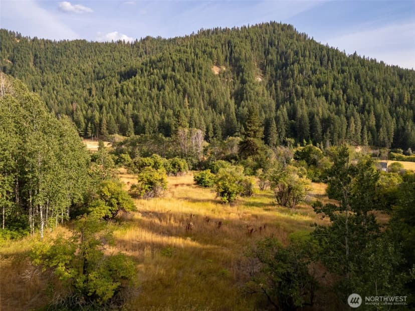 Property photo for 0 Chumstick Hwy, Leavenworth photo 19