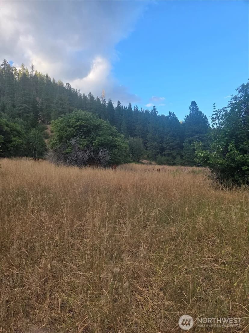 Property photo for 0 Chumstick Hwy, Leavenworth photo 24
