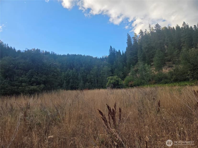 Property photo for 0 Chumstick Hwy, Leavenworth photo 29