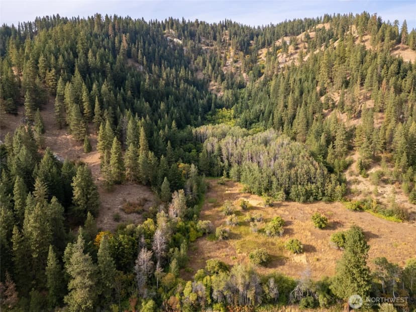 Property photo for 0 Chumstick Hwy, Leavenworth photo 14