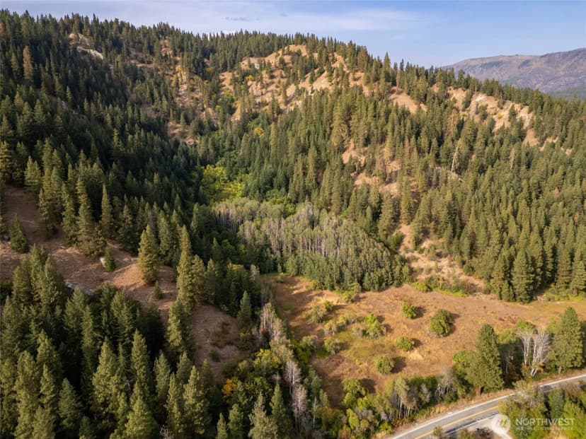 Property photo for 0 Chumstick Hwy, Leavenworth photo 4