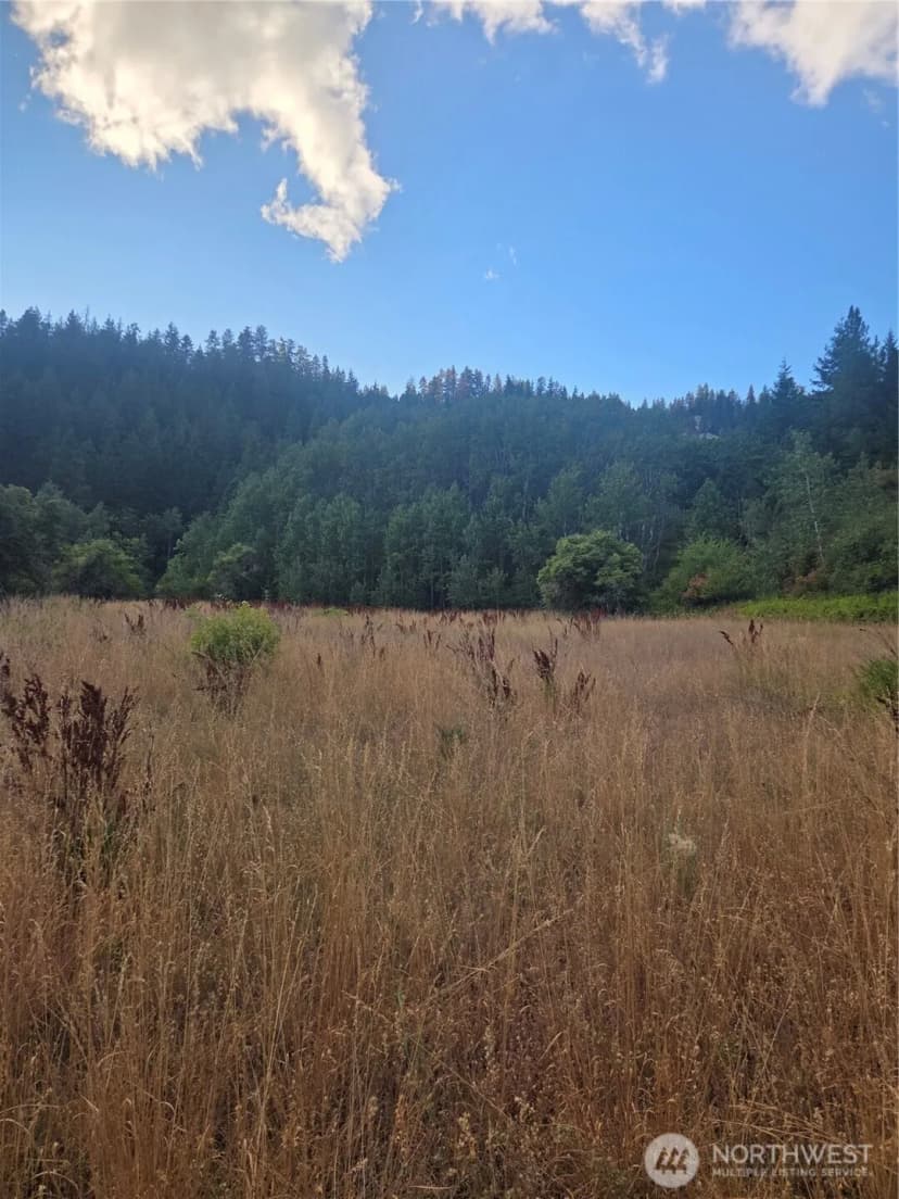 Property photo for 0 Chumstick Hwy, Leavenworth photo 26