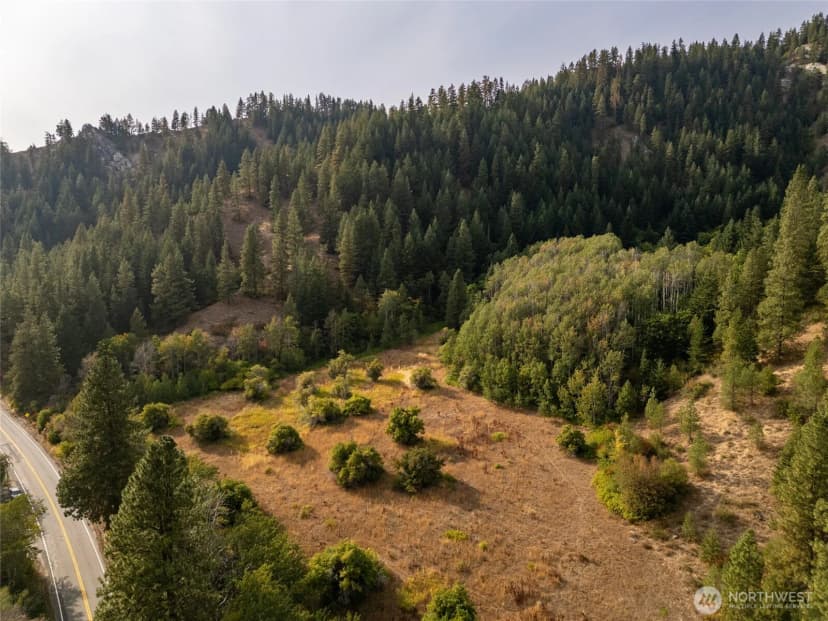 Property photo for 0 Chumstick Hwy, Leavenworth photo 15
