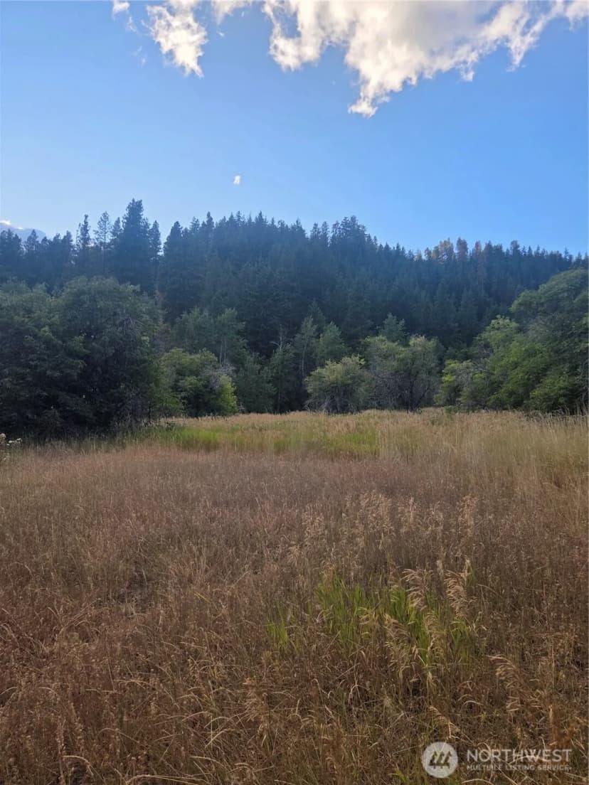 Property photo for 0 Chumstick Hwy, Leavenworth photo 31
