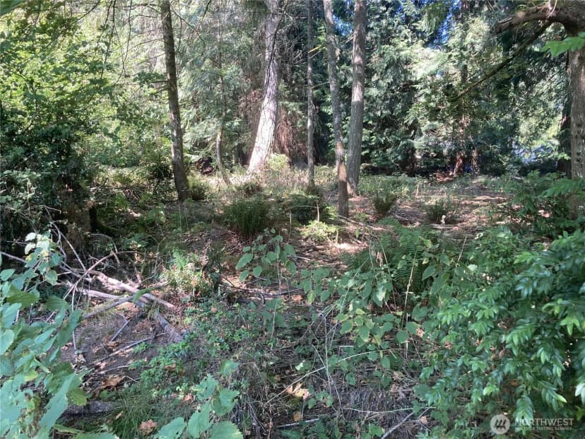Property photo for 10919 Riviera Drive, Anderson Island photo 4