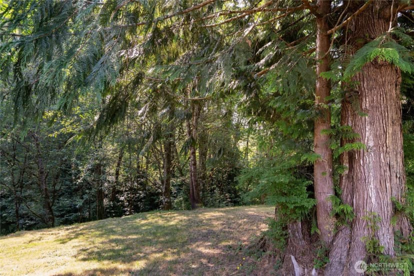 Property photo for 420 Proffitt Road, Centralia photo 20