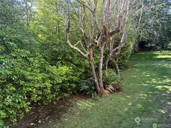 Property photo for 4326 156th Street Sw #1a, Lynnwood photo 19