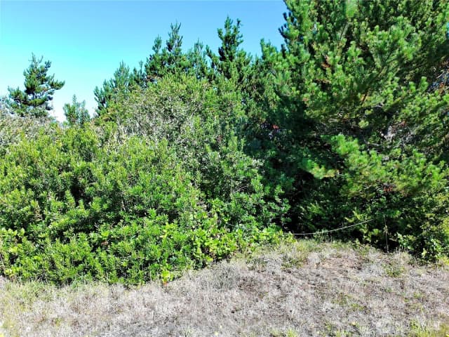 Property photo for 362 King Cyrus Loop Sw, Ocean Shores photo 2