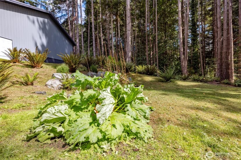Property photo for 7091 Upland Drive, Anacortes photo 17