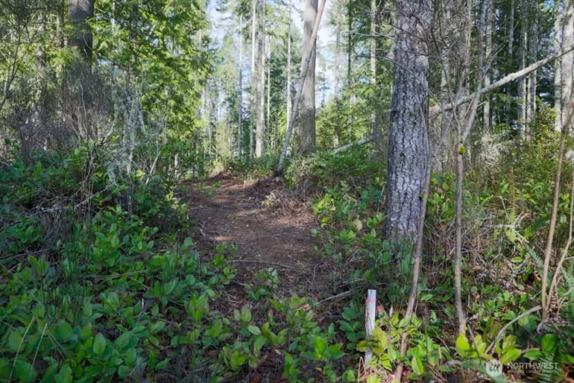 Property photo for 26663 Big Valley Road Ne, Poulsbo photo 39