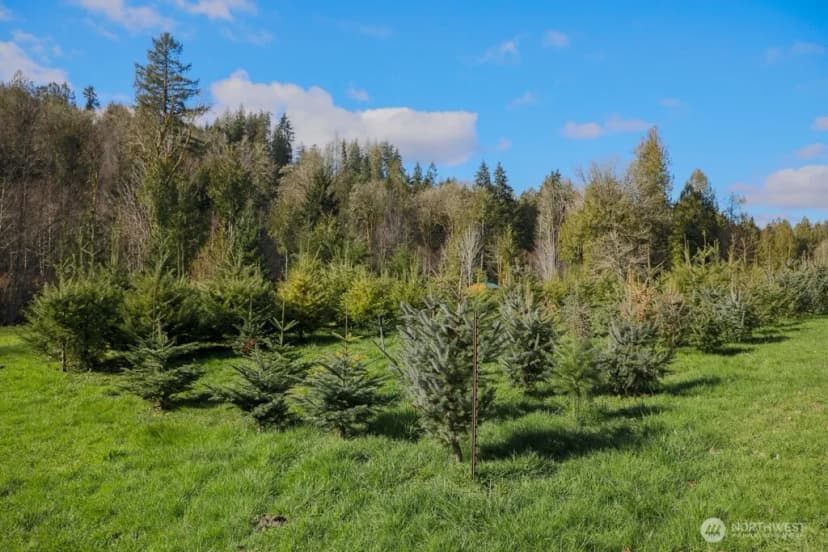Property photo for 26663 Big Valley Road Ne, Poulsbo photo 9