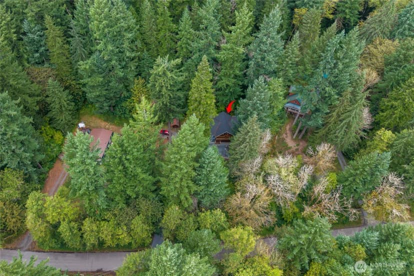 Property photo for 31715 Mount Tahoma Canyon Rd E, Ashford photo 40