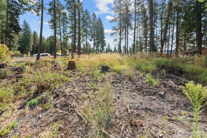 Property photo for 25711 Bridle Lane, Leavenworth