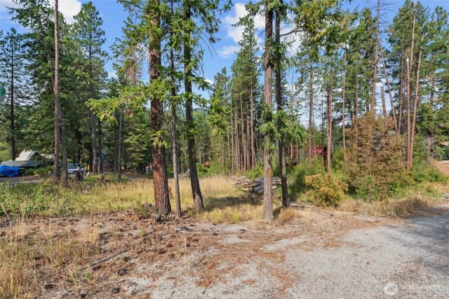 Property photo for 25711 Bridle Lane, Leavenworth photo 3