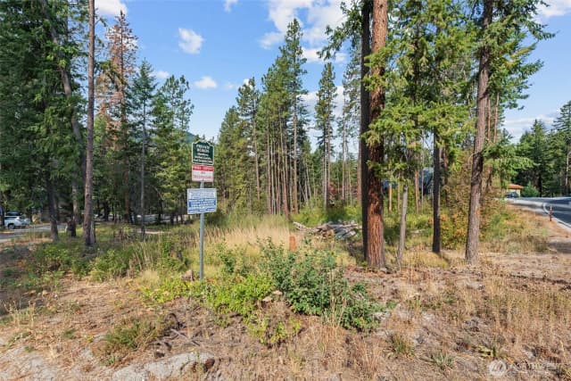 Property photo for 25711 Bridle Lane, Leavenworth photo 4