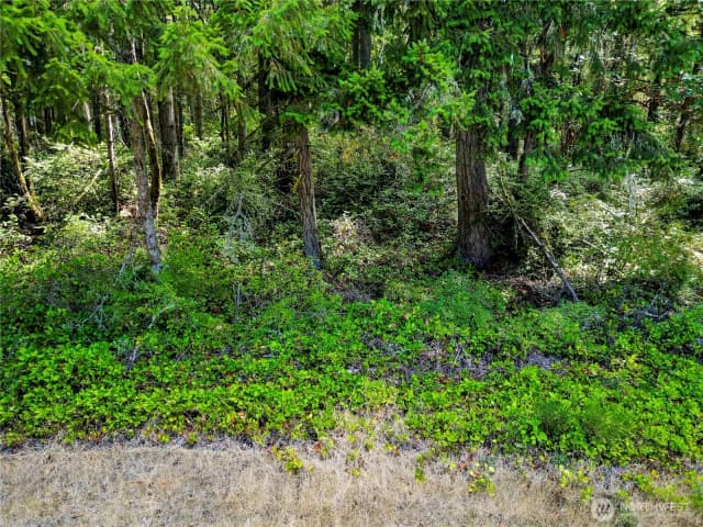 Property photo for 10205 Eckenstam Johnson Road, Anderson Island
