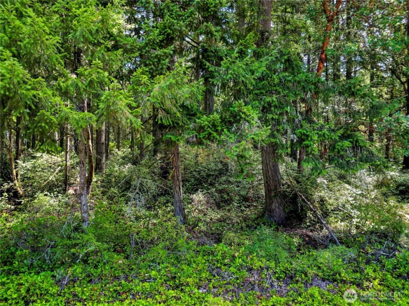 Property photo for 10205 Eckenstam Johnson Road, Anderson Island photo 2