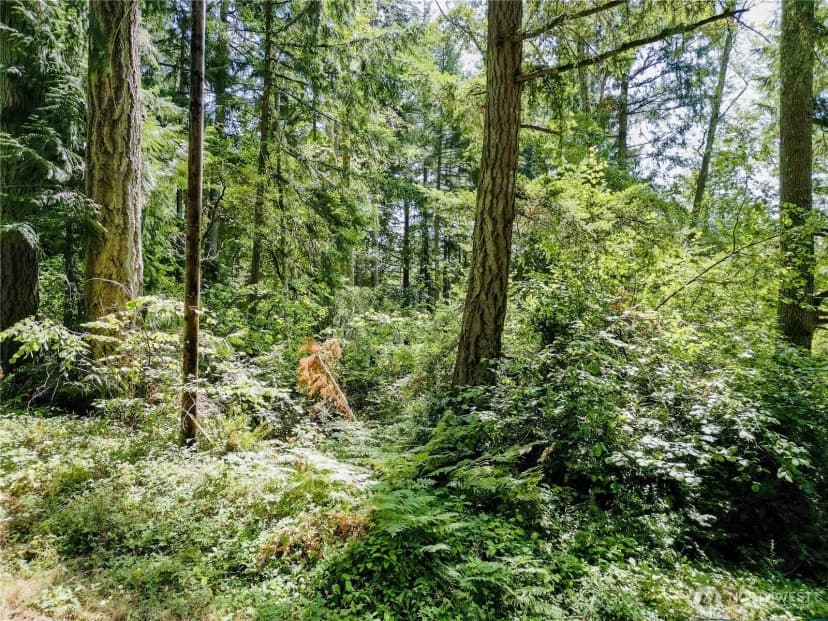 Property photo for 12212 Sound Drive, Anderson Island
