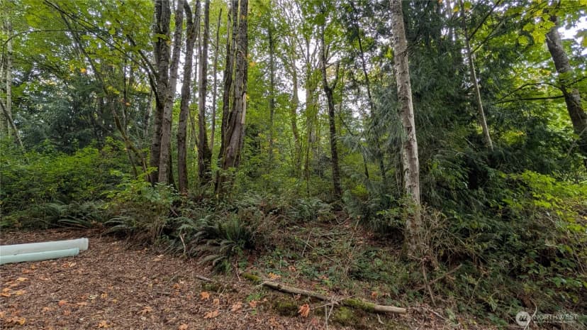 Property photo for 7964 My Way, Sedro Woolley photo 11